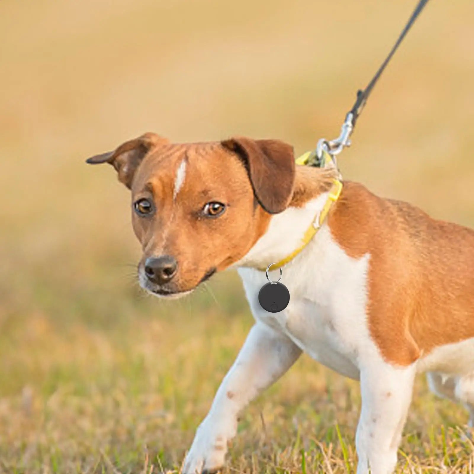 GPS Tracker Smart Tags Blue-tooth Search Tracking Locator Work Find Anti Lost Reminder Device Finder Car Key Pet Kids