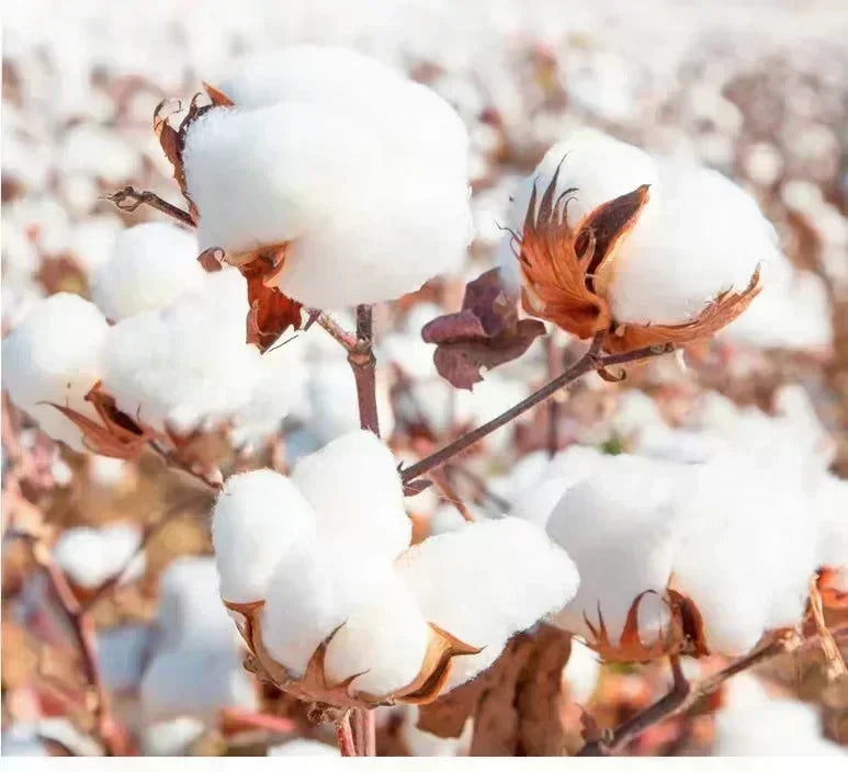 Solo Leveling Licensed Anime Tee 2025 - Official Manga Graphic Cotton Shirt, Y2K Loose Fit for Cosplay & Daily Wear