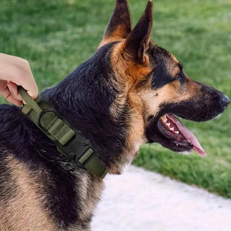 Heavy Duty Tactical Dog Collars with Handle Military Collar with Patch Outdoor Training and Walking for Medium and Large Dogs