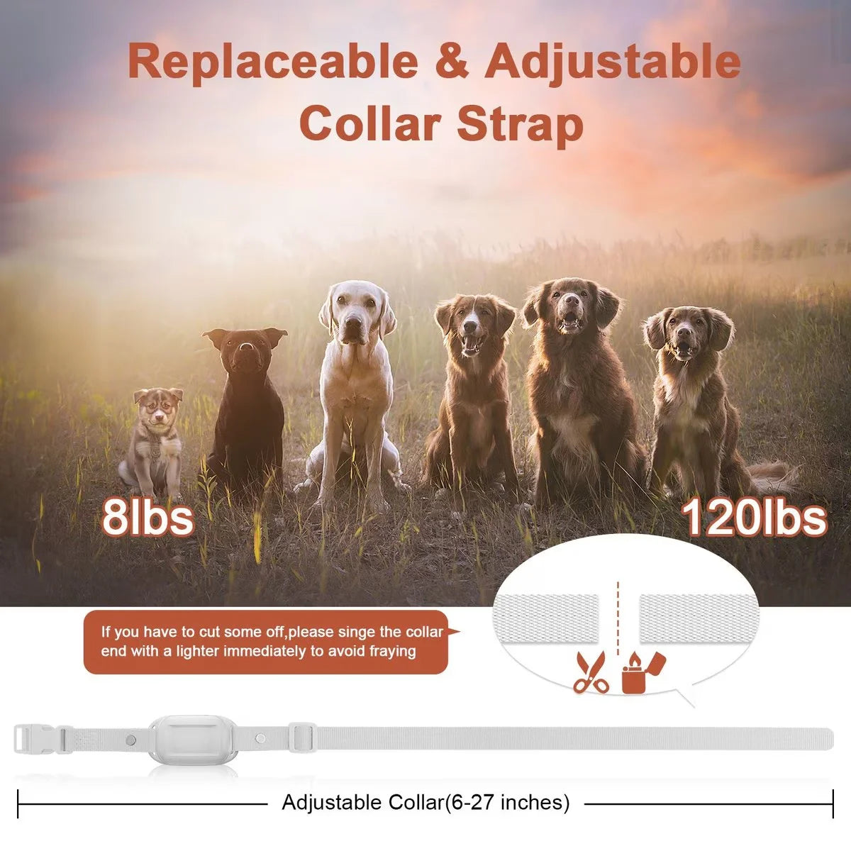 Dog Training Collar with Remote Innovative IPX7 Waterproof with 4 Training Modes, Rechargeable E-Collar for All Breeds